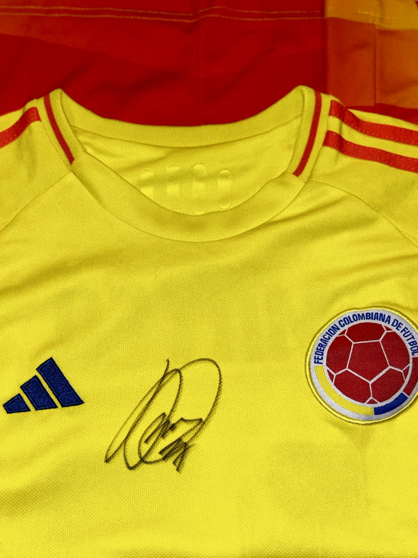 Buzo Colombia Premium FC™